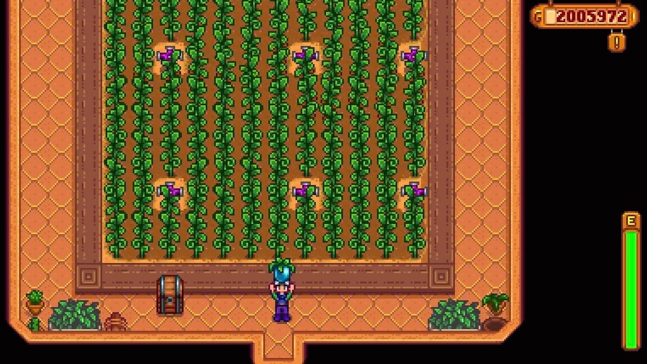 Voici le moyen le meilleur et le plus rapide d'obtenir des graines anciennes à Stardew Valley