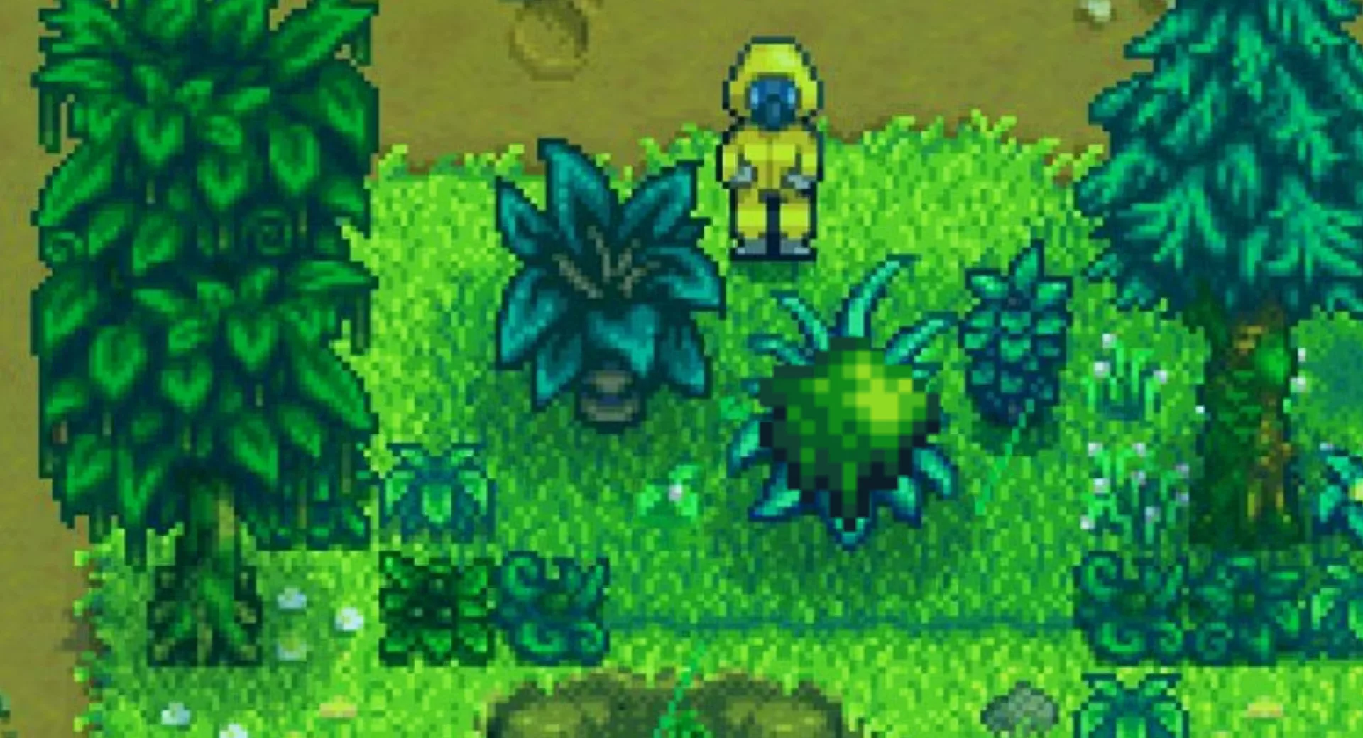 Stardew Valley 1.6 : La meilleure façon de cultiver de la mousse